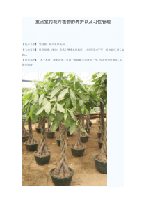 重点室内花卉植物的养护以及习性管理