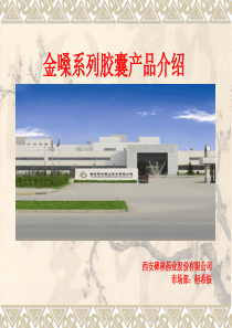 金嗓系列胶囊(新)