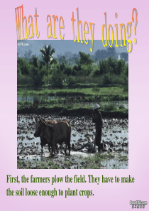 广东地区高一英语Unit2 working the land warming-up and read