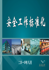 危险化学品从业单位安全标准化通用规范(AQ3010-2008)