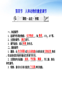 【课堂新坐标】2012高三生物一轮复习 第二章第四节人和动物的激素调节课件 苏教版必修3