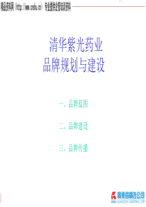 46清华紫光药业品牌规划与建设
