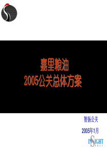 嘉里粮油2005总方案第1部分分析与策略