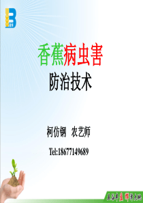 香蕉病虫害防治技术(柯仿钢)
