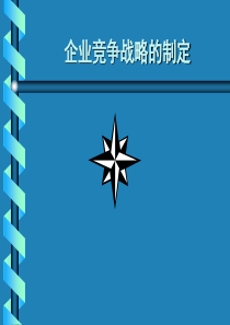 5企业竞争战略的制定(1)