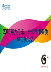 分公司2010年9月服务质量分析报告模板