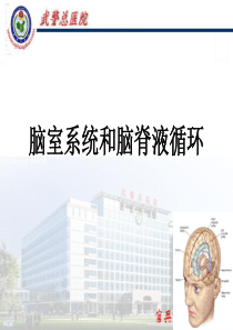 脑室系统解剖