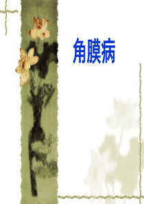 角膜病