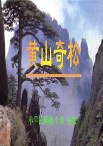16黄山奇松第二课时演示文稿