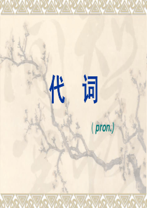 初中英语代词课件