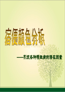 宿便颜色分析X