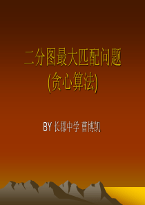 二分图最大匹配问题(贪心算法)