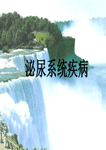 第八版 病理学 第9章 泌尿系统疾病1