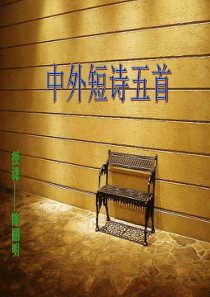 东风不来,三月的柳絮不飞