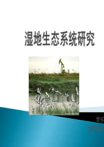 湿地生态系统研究==