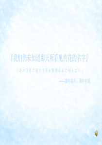 那些花 未闻花名 介绍PPT