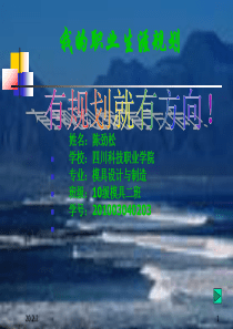 45人生职业规划ppt