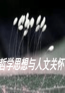 哲学思想与人文关怀第三讲