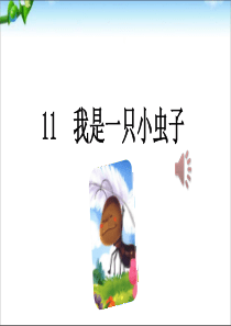 11.我是一只小虫子 PPT课件