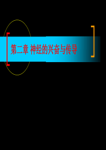 第2章 神经的兴奋与传导