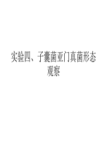 实验四、子囊菌亚门真菌形态观察