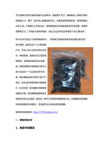 海参春节营销策划方案