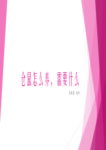 仓鼠怎么养,需要什么