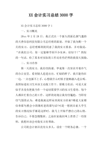 XX会计实习总结3000字