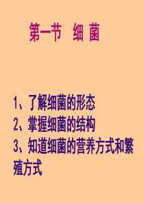 36细菌