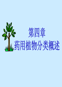 第4章药用植物分类学概述详解