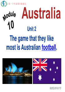 九年级英语下Module 10- unit 2The game that they like mos
