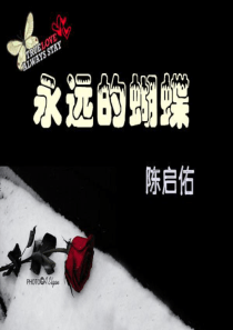 《永远的蝴蝶》经典课件