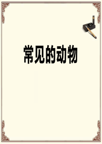 《常见的动物》ppt课件