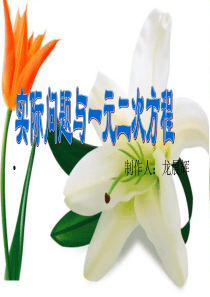 初三数学实际问题与一元二次方程(龙晨辉)剖析