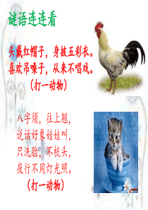 二年级口语交际课件