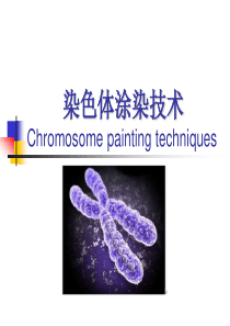 染色体涂染技术