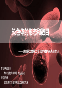 染色体的形态和数目