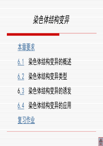 染色体结构变异