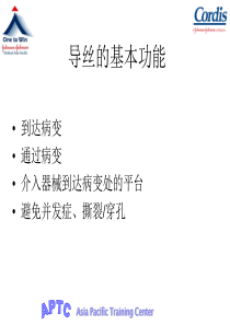 导丝中文介绍