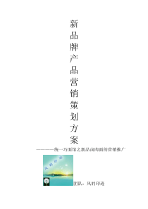 新品牌产品营销策划方案