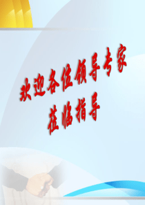 桥梁加固汇报材料PPT