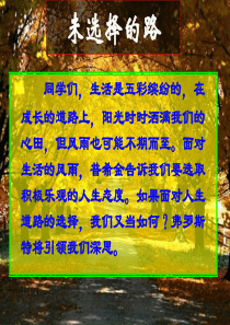 81未选择的路(公开课教学课件)