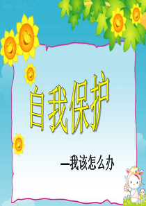 二年级语文下册第七单元看图写话――自我保护――郑智萍