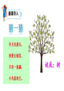 二年级语文树之歌课件