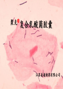 聚克