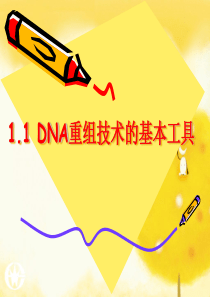重组技术工具1