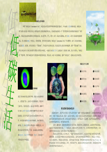 低碳生活电子小报