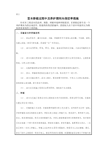 苗木移植过程中及养护期间内保活率措施