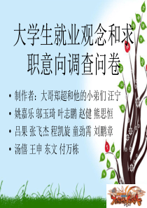 关于大学生就业的调查报告-PPT(精)