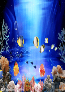 《海底世界》优质课件ppt